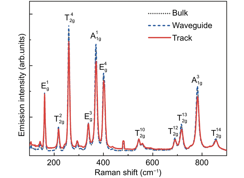 Raman spectra collected from non-processed bulk area (black dotted line, covered by almost identical blue dashed line), waveguide volume (blue dashed line), and damage track (red solid line) excited by a 532 nm laser. Corresponding molecular vibration modes are marked out on every peak.