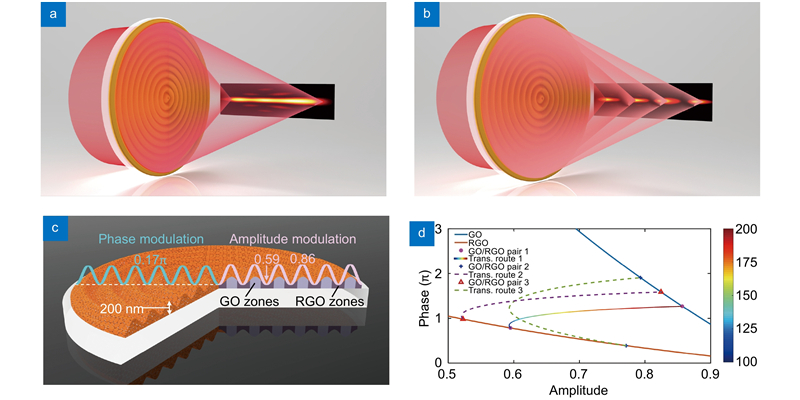 Schematic figures of GO metalens and its demonstrations. (a) Optical demonstration for optical needle generated by GO metalens. (b) Optical demonstration for four axial focal spots generated by GO metalens. (c) Schematic figure of GO metalens on a glass substrate, the total thickness is 200 nm. When reduced by femtosecond laser in RGO area, the absorption and refractive index increase while the thickness is reduced to 100 nm. (d) Phase-amplitude relationship of GO/RGO pairs. Three GO/RGO pairs on blue and brown lines, whose thicknesses are 200 nm/100 nm, 300 nm/150 nm, and 250 nm/125 nm, are labelled with dot (●), cross (+), and triangle (Δ), respectively. The first and the second numbers indicate the thickness of the initial GO films (e.g. 200 nm) and the thickness (e.g. 100 nm) of RGO after laser reduction. The transitional routes between GO/RGO pairs are plotted. The GO/RGO pairs with dot marker and transitional route 1 with solid lines are utilized in this work. The colorbar relates to thickness of the RGO film, which is controlled by the laser reduction extent.