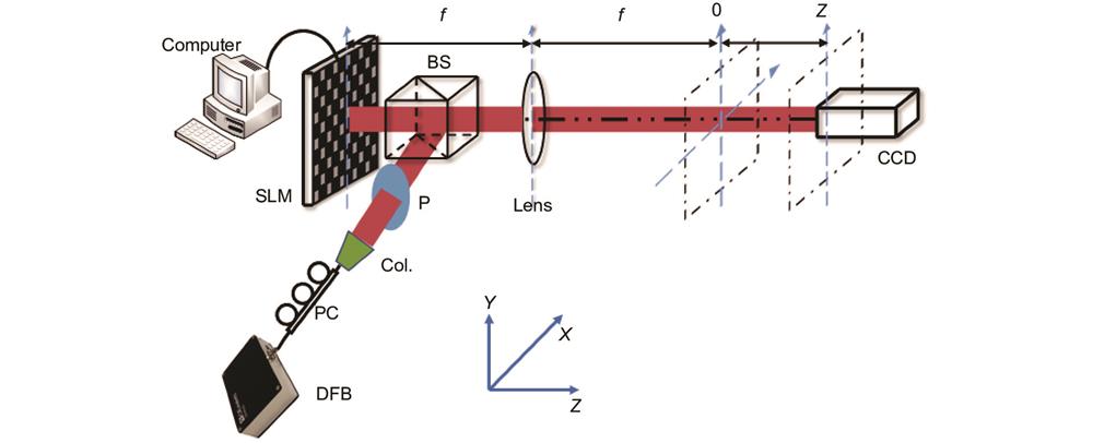 Experimental setup for the optical field rotation of 2D self-accelerating beams. DFB: distributed feedback laser; Col.: collimator; PC: polarizer controller; P: polarizer; BS: beam splitter; SLM: spatial light modulator.