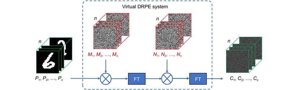 Acquisition of the training data by designing a virtual DRPE system. A set of randomly generated RPMs (M1, M2,…,Mn) are placed at the spatial domain, and another set of randomly generated RPMs (N1, N2,…,Nn) are placed at the frequency domain. The ground truth plaintext images (P1, P2,…,Pn) are encrypted one-by-one and the corresponding ciphertext dataset (C1, C2,…,Cn) can be obtained.
