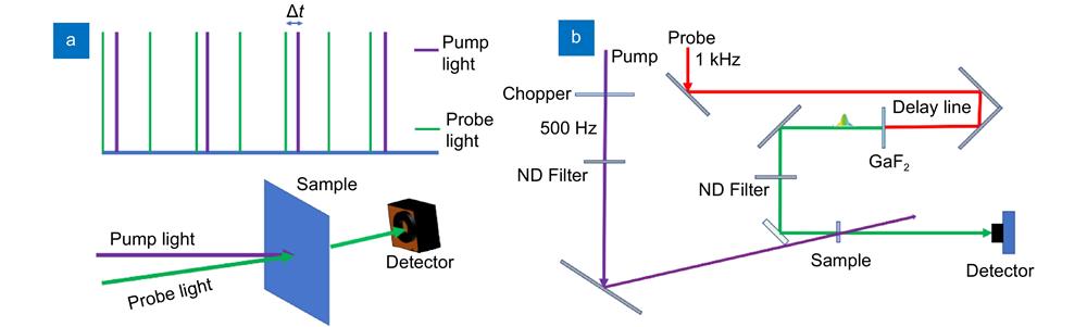 The work principle of pump probe setup. (a) The relationship between pump light and probe light in time domain and space domain. (b) The schematic diagram of pump probe setup.