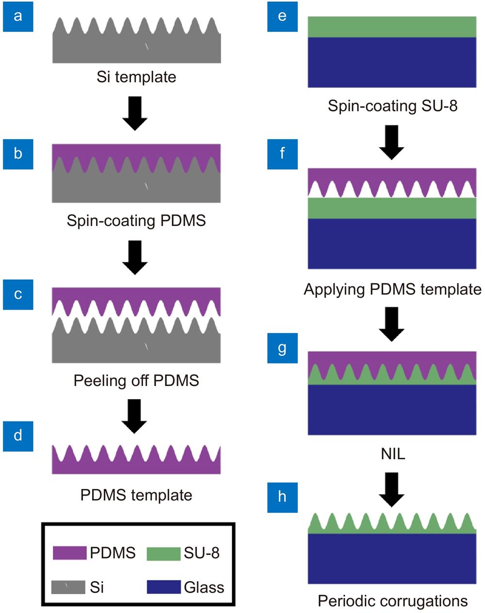 Fabrication process of the periodic corrugations based on NIL. (a) Si template with 290 nm periodic corrugations. (b) PDMS was spin-coated on Si template. (c) Solidified PDMS film was peeled off. (d) The corrugations were transferred to PDMS template. (e) SU-8 was spin-coated on a pre-cleaned glass substrate. (f) Prepared PDMS template was placed on the SU-8 film. (g) NIL processes were applied. (h) The periodic corrugations were prepared on the substrate.
