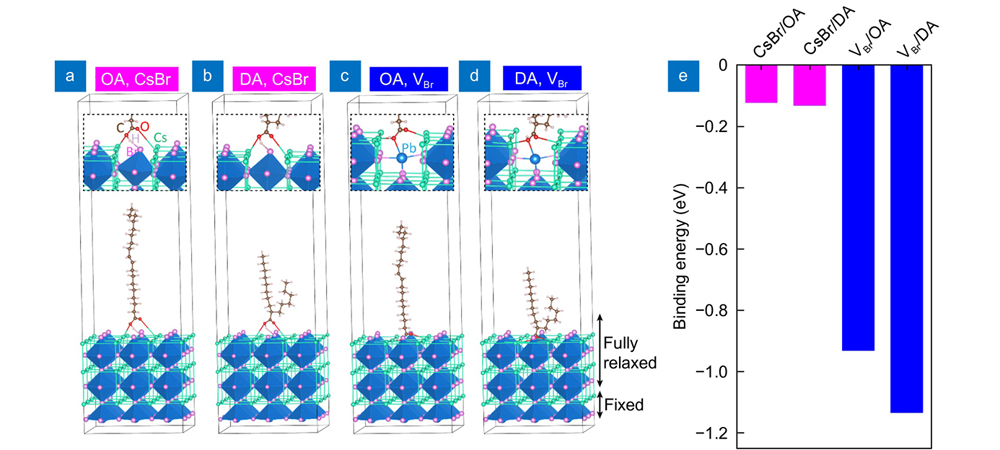 Relaxed surface models for simulating the adsorption of OA/DA molecules on the CsPbBr3 surface. The insets are the zoomed-in plot of the bonded regions. (a) OA on top of the pristine CsBr-terminated surface. (b) DA on top of the pristine CsBr-terminated surface. (c) OA bonding with a Br-vacancy. (d) DA bonding with a Br-vacancy. (e) The binding energies of the four interfaces.