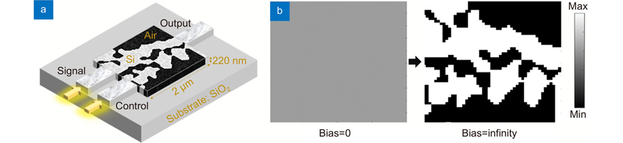 Design optimization process of the all-optical switch. (a) General configuration of the all-optical switch. (b) The initialization and discrete optimization permittivity distribution in the x-y two-dimensional cross-section, where bias=0 and bias=infinity.