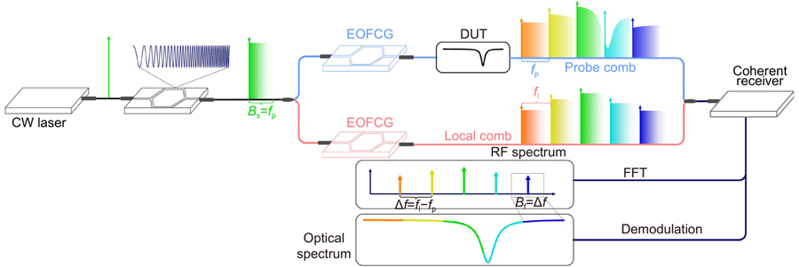 The schematic to show the operation principle of proposed EO-DCS with real-time interleaved spectrum. CW laser: continuous-wave laser; EOFCG: electro-optic frequency comb generation; DUT: device under test; RF: radio frequency; FFT: fast Fourier transformation.
