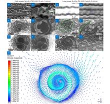 Liquid vortexes and flows induced by femtosecond laser ablation in liquid governing formation of circular and crisscross LIPSS