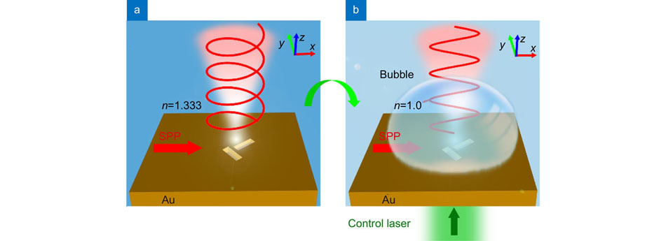 (a) Circularly polarized emission light as the plasmonic emitter is covered by water (n=1.333). (b) Linearly polarized emission light as the plasmonic emitter is covered by a bubble (n=1.0) induced with a control laser beam.