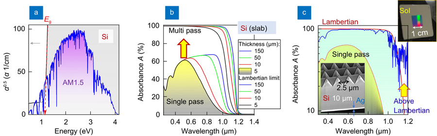 Why Si solar cells? (a) Absorption coefficient α of Si vs. photon energy (black line, grey shading) and solar spectrum profile (blue line, purple shading) at air mass AM1.5 ground conditions10. The arrow points to the bandgap energy Eg. (b) Calculated absorbance for a Si slab with different thickness in single and multiple (the Lambertian limt) passes. (c) Absorbance of 10-μm-thick Si (device layer of SOI): single pass, Lambertian limit, and calculated PhC light trapping for the used geometry6. Inset shows the PhC structure made on a Si-on-insulator (SOI) substrate which exceed the ray optics Lambertian limit6.