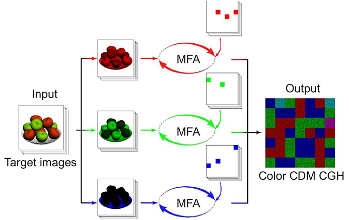 Flowchart of optimization algorithm for dynamic multiwavelength CDM CGHs generation. MFA represents modified Fidoc algorithm for CDM holography according to ref.41. The target images are divided into three series of monochromic images for different color components, and they are encoded and synthesized as a multiwavelength CDM CGH.
