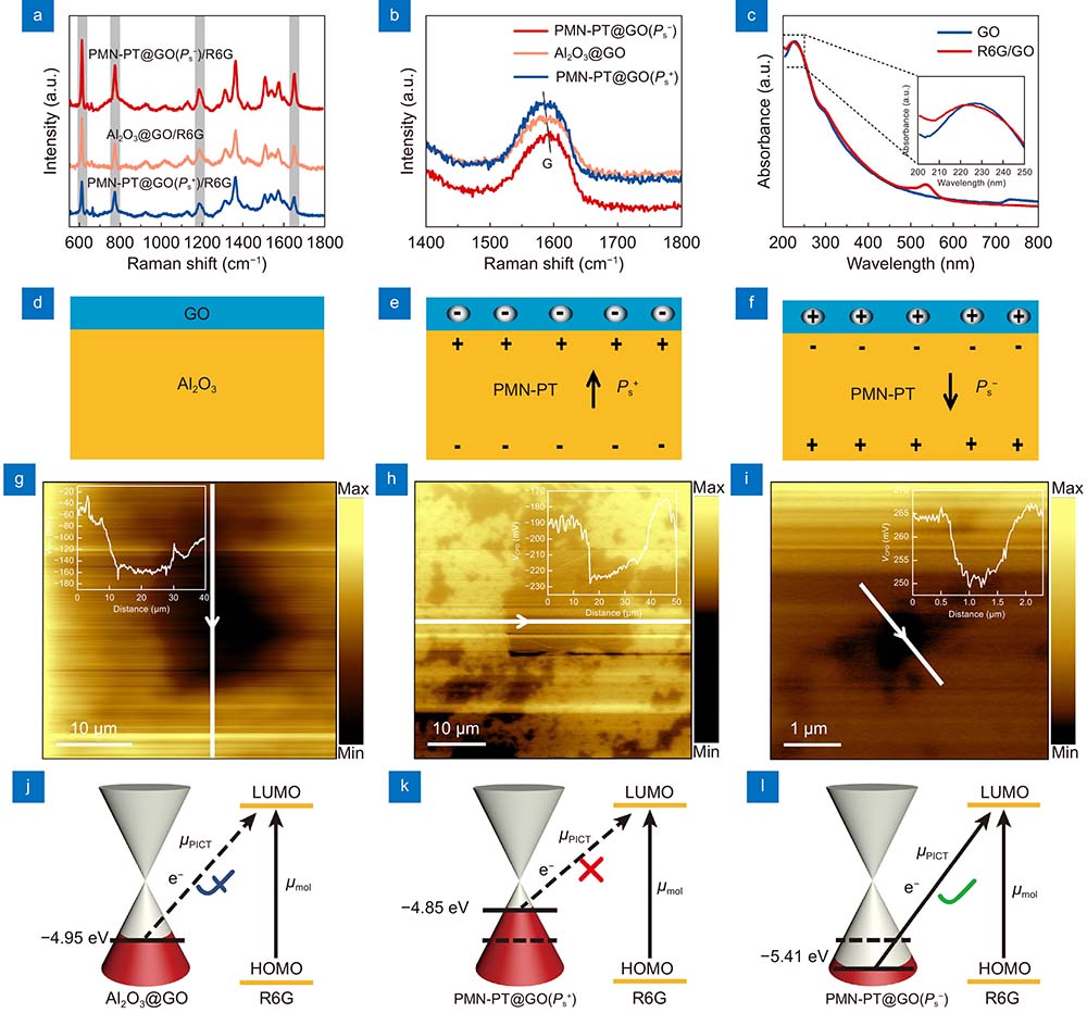 (a) SERS performance of Al2O3@GO, PMN-PT@GO (Ps+) and PMN-PT@GO(Ps−) by employing R6G as the probe molecule under excitation of 532 nm laser. (b) Raman shift of G band of GO in Al2O3@GO, PMN-PT@GO (Ps+) and PMN-PT@GO(Ps−). (c) UV-vis spectra of the GO and R6G/GO. (d-f) Schematic diagram of GO doping when adsorbed on different surfaces of PMN-PT. (g-i) Contact potential differences (VCPD) between Au probe and GO in (g) Al2O3@GO, (h) PMN-PT@GO (Ps+) and (i) PMN-PT@GO(Ps−) measured by a KPFM system. (j–l) Modulation mechanism of SERS enhancement of (j) Al2O3@GO, (k) PMN-PT@GO (Ps+) and (l) PMN-PT@GO(Ps−).