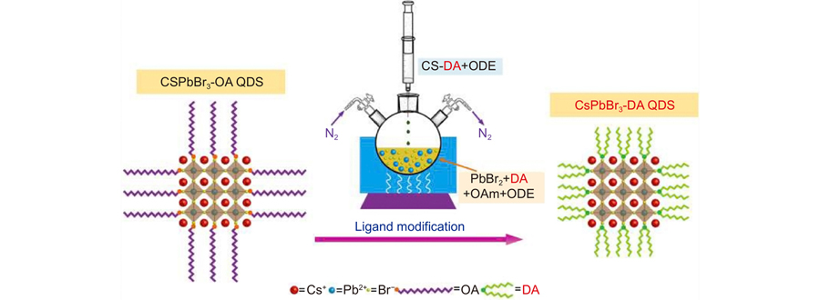 The schematic illustration of the surface in the CsPbBr3 QDs with ligand modification process.