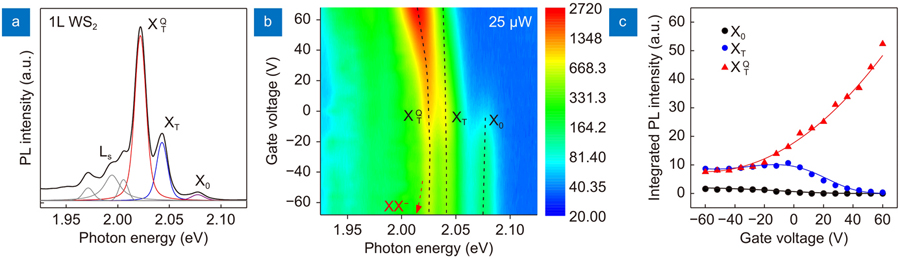 Electrical tuning of the PL spectra of excitonic species. (a) A typical PL spectrum of the monolayer WS2 at T=10 K excited by 2.33 eV laser. The label X0 and XT represent bright exciton and trion, respectively. The labelsXTQrepresents Q-valley charged state, and the rest three peaks are labeled as Ls representing localized states. (b) Color plot of the measured PL spectra for monolayer WS2 as a function of back-gate voltage at 25 μW excitation power. The black dashed lines are a guide to the eye showing the positions of the emission peaks. The red dashed arrow illustrates the transition trend for XX– peak intensity under doping, which should be opposite to theXTQfeature. (c) Integrated PL intensities of the X0 (black circle), XT (blue circle), andXTQ(red triangle) as a function of back-gate voltage. The solid lines are fitting results with the equations in Supplementary information Section 2.