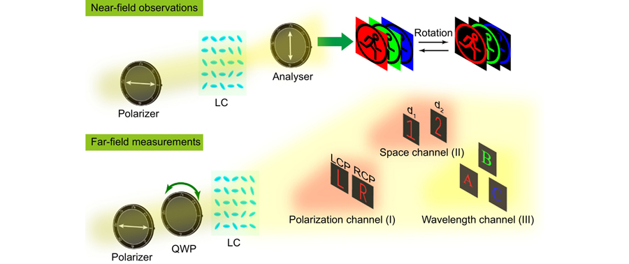 Principle of a multifunctional LC element utilizing the incident polarization, observation position and working wavelength to decode their associated information. Information multiplexing FMLCE generates a pattern at the sample surface under an orthogonal-polarization optical path, and different holographic images in Fresnel region depending on the incident polarization state (polarization channel), observation position (space channel), and working wavelength (wavelength channel).