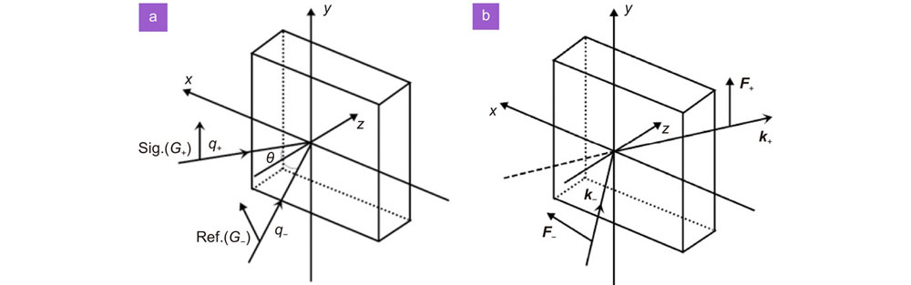 Schematic of polarization holography: (a) recording process; (b) reconstruction process.