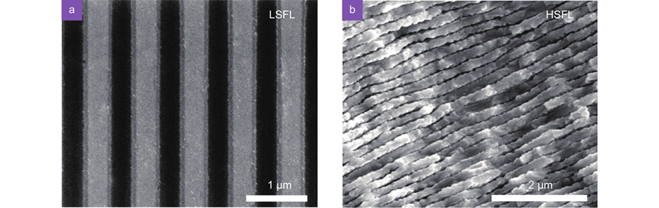 Scanning electron microscopy (SEM) images of (a) LSFLs on silicon8, and (b) HSFLs on ZnSe induced by 800 nm femtosecond laser. Figure reproduced with permission from: (a) ref.8, Optica Publishing Group, under the Optica Open Access Publishing Agreement; (b) ref.9, American Physical Society.