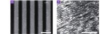 Femtosecond laser-induced periodic structures: mechanisms, techniques, and applications