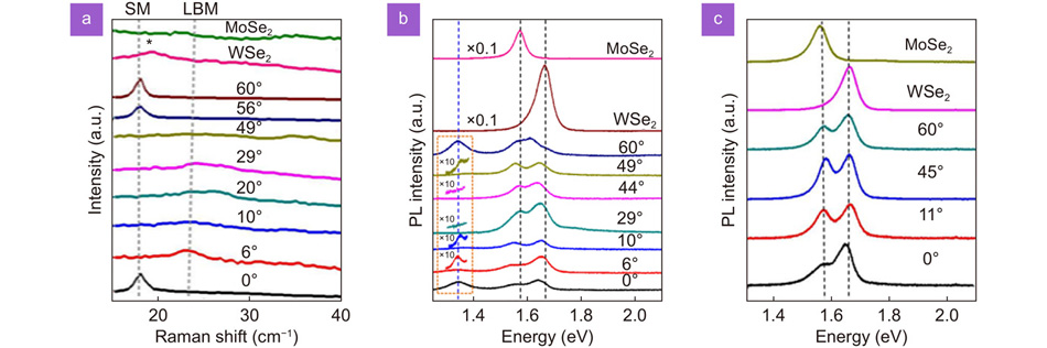 TMD/TMD heterostructure. (a) Low frequency Raman spectra of MoSe2/WSe2 HSs and individual TMD layers with different twist angles (0° ≤ θ ≤ 60°) showing the shear mode (SM), layer-breathing mode (LBM), and unassigned peak (marked with asterisk). The pronounced SM at specific twisting angles indicating the strong coupling of the HS at those angles. (b) PL spectra of the same HS showing the emergence of the interlayer exciton peak at ~ 1.35 eV as a function of different twisting angles. (c) PL spectra of 1L MoSe2, 1L WSe2, and 1L h-BN-inserted HSs with various twist angles (0° ≤ θ ≤ 60°) showing the absence of the interlayer exciton peak at all twisting angles indicating the reduced coupling between MoSe2 and WSe2. The intensity of the main peaks at the HS are comparable to individual layers further indicating the PL spectra is a combination of each individual material in case of no coupling. Figure reproduced with permission from ref.86, Copyright © 2017, American Chemical Society.