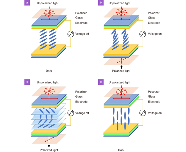 Working principle of liquid crystals. In the electro-optic birefringent effect, (a) no light is outputted when the voltage is off, while (b) polarized light is outputted when the voltage is on. In the twisted nematic effect, (c) the molecular orientations of the upper and lower crystal planes of the liquid crystal are different. Molecules rotate uniformly along the crystal direction without voltage. (d) Molecules deviate from the original direction and align towards the electric field when the voltage is on.