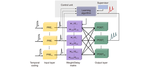 The basic structure for supervised learning of photonic SNNs with temporal coding.