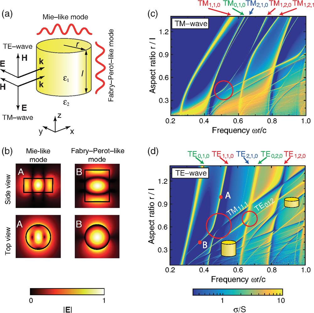 Strong coupling of modes in a dielectric resonator. (a) TE- and TM-polarized waves incident on a dielectric cylindrical resonator with permittivity ε1=80, radius r, and length l placed in vacuum (ε2=1). (b) Distribution of the electric field amplitude |E| for the Mie-like mode TE1,1,0 (point A) and Fabry–Perot-like mode TM1,1,1 (point B). (c) and (d) Dependencies of the total SCS of the cylinder σ normalized to the projected cross-section S=2rl on the aspect ratio of the cylinder and frequency rω/c=2πr/λ for TM and TE-polarized incident waves, respectively. The calculations are carried out with the step of r/l=0.003. In panels (c) and (d), the regions of the most pronounced avoided crossing are marked by red circles.