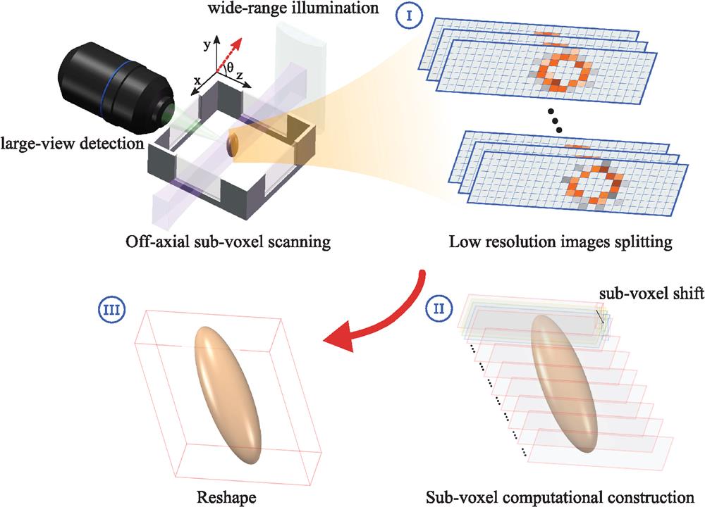 The principle of subvoxel light-sheet microscopy using wide-range light-sheet illumination and large-view imaging. An off-axial and continuous scanning method is used to achieve fast acquisition of a series of large field-of-view images at low resolution (step I). Through an iterative optimization computational procedure, a voxel super-resolved image can be reconstructed (step II). To compensate the image deformation, voxel realignment is applied (step III).