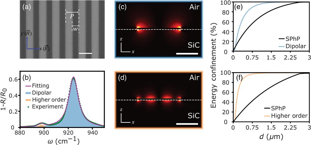 Localized hybrid phonon resonance of Ge grating on SiC. (a) SEM image of the grating (w=2 μm and P=4 μm). Scale bar equals 4 μm. (b) Measured absorption spectrum of gratings in (a) and its double-Lorentzian fittings. Simulated intensity distribution of the (c) dipolar and (d) higher order mode. White dashed lines indicate the SiC–air interface. Scale bar equals 4 μm. (e) and (f) Percentage of total energy localized within a distance d above the SiC surface in the total energy above the SiC surface.
