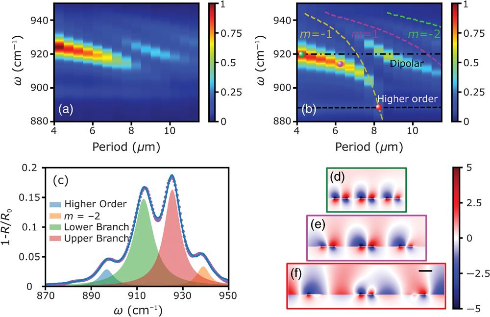 Coupling of the propagating SPhP mode with the hybrid phononic–dielectric dipolar mode in Ge gratings with varying period P and fixed width (w=2 μm): (a) experimental normalized absorption and (b) simulated normalized absorption. The yellow, magenta, and green dashed lines indicate phase-matching conditions of SPhP modes with m=−1, 1, and −2, respectively. (c) Absorption of the grating when w=2 μm and P=8 μm. Shaded areas represent multi-Lorentzian decomposition of the spectrum. Purple dots and blue lines represent experimental data and the fitted spectrum, respectively. (d)–(f) Real parts of the Ez for the green, magenta, and red dots shown in (b), respectively. The scale bar represents 2 μm.