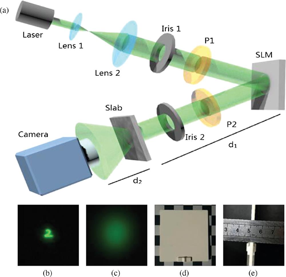 (a) Experimental setup for imaging through scattering media, SLM represents an amplitude-only SLM, P1 and P2 are linear polarizers and the slab is a 3-mm-thick white polystyrene. The images captured at the (b) front and (c) back surfaces of the scattering medium. (d) The side view and (e) the top view of the polystyrene.