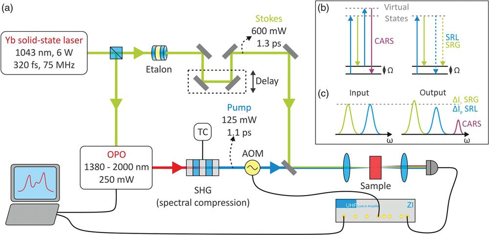 (a) Schematic experimental setup. An Yb-solid-state oscillator allows synchronous generation of the Raman Stokes and pump beams. Using an etalon, the narrowband Stokes beam with picosecond pulse duration is obtained, whereas the Raman pump beam is generated by pumping an OPO, which is subsequently frequency doubled in a periodically poled crystal employing the effect of spectral compression. Using this system, CARS and SRS spectroscopies are both feasible, as depicted in (b) and (c).