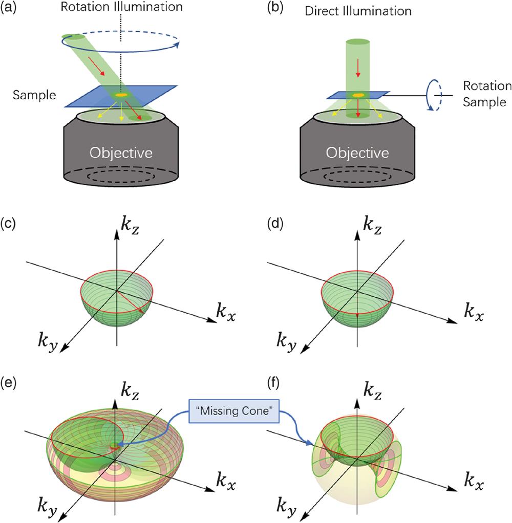 Schematic diagram of “missing cone” in optical diffractive tomography (ODT). (a), (b) Schematic diagram of ODT with rotating illumination (a) and rotating sample (b). (c), (d) The spatial scattering spectrum captured by the objective: red arrows indicate the transmitted and scattered signal projected on a spherical cap; the numerical aperture of the objective limits the angular bandwidth of the scattered signal. (e), (f) ODT casts spatial spectrum caps from different rotation directions together in order to reconstruct the 3-D spatial spectrum of the sample. The missing spectrum along the rotation axis is observed with both illumination rotation (e) and sample rotation (f).
