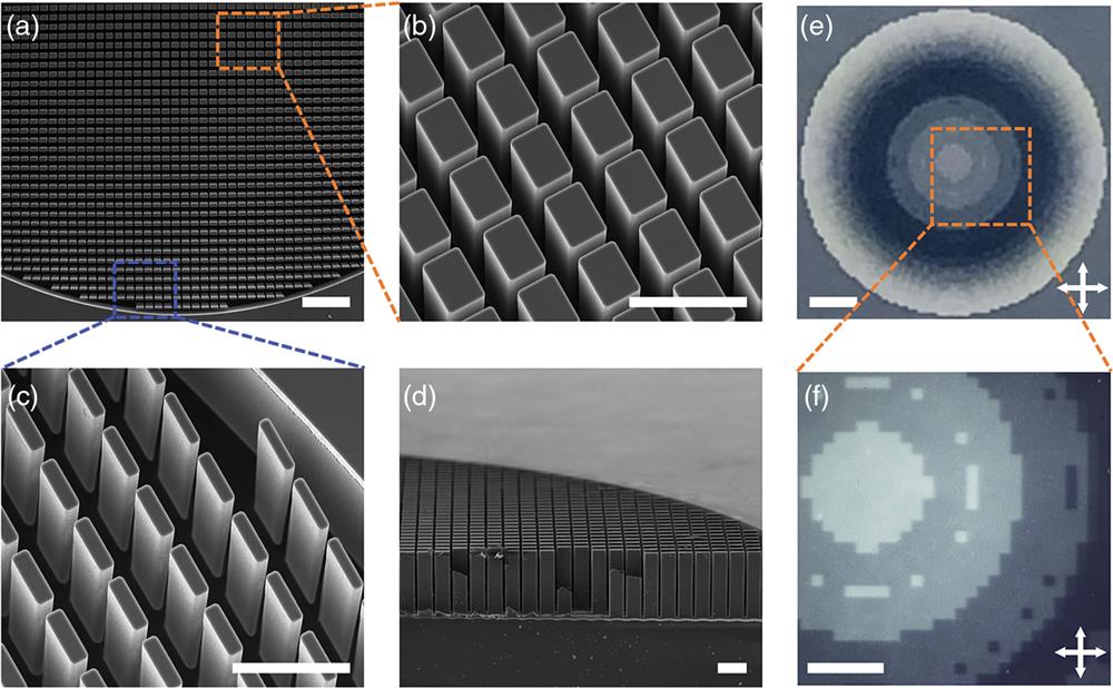 Characterization of the metalens. (a) SEM image of the metasurface (top view). Scale bar: 300 μm. Zoomed-in images of the silicon pillars labeled by the (b) orange and (c) blue squares in (a), respectively. (d) Cross-section image of the metasurface. Scale bars in (b)–(d): 100 μm. (e) Optical image of the LC layer under crossed polarizers. (f) A zoomed-in image labeled by the orange square in (e). Scale bars in (e) and (f) are 1 mm and 500 μm, respectively.