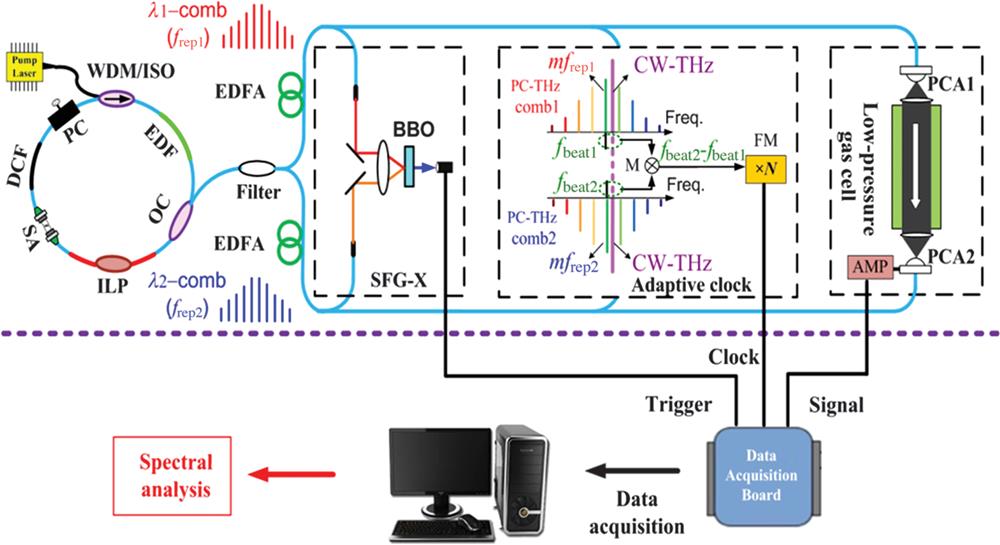 Configuration of comb-mode-resolved adaptive sampling THz-DCS. SFG-X, sum-frequency-generation cross-correlator; BBO, beta-barium borate crystal; PC-THz comb, photocarrier THz comb; M, double-balanced mixer; FM, frequency multiplier (frequency multiplication factor N=40); PCA, photoconductive antenna; and AMP, current preamplifier.