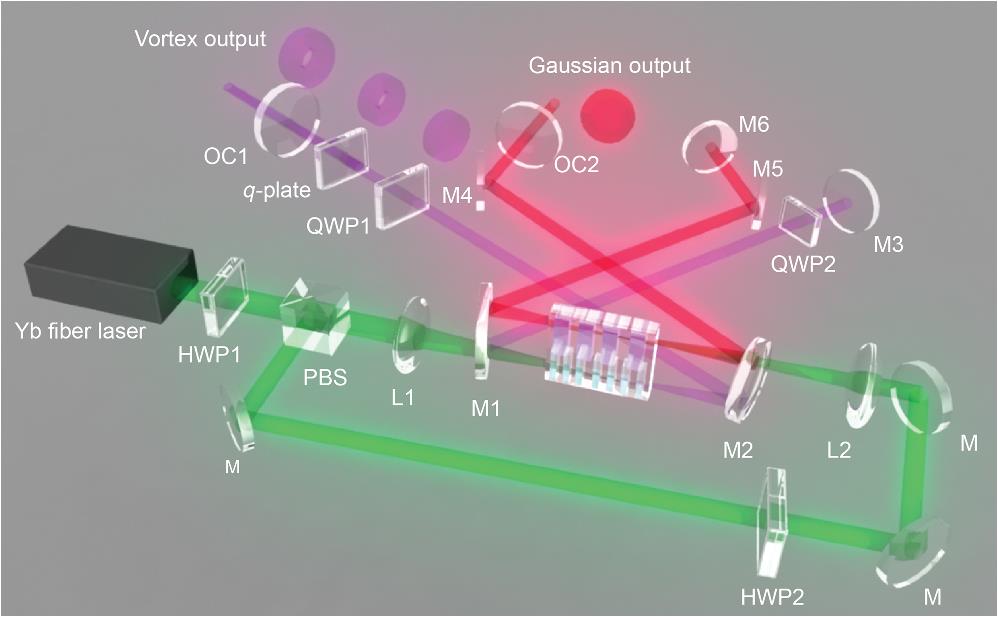 Schematic illustration of the experimental set-up. L1 and L2: lenses; HWP: half-wave plate; PBS: polarization beam splitter; QWP: quarter-wave plate; M1 to M4: dielectric mirrors; and OC: 15% output coupler. The red and purple beams present the signal for channel 1 and channel 2, respectively.