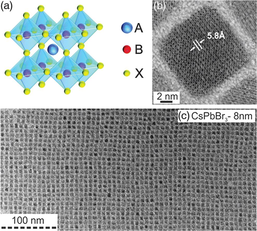 (a) Schematic of the perovskite ABX3 structure, where A is an organic or alkali-metal cation, B is a bivalent cation, and X is a monovalent anion. (b), (c) Typical TEM images of perovskite CsPbBr3 NCs. (a) Reproduced with permission from Ref. 3, courtesy of the Royal Society of Chemistry. (b), (c) Reproduced with permission from Ref. 5, courtesy of the American Chemical Society (ACS).