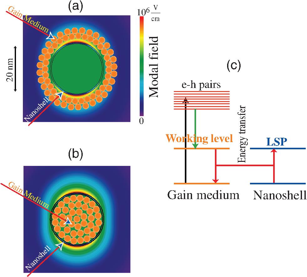 Conceptual schematic of a realistic nanospaser geometry, composition, and its action principle. (a) Schematic of geometry and composition of a nanoshell spaser with gain medium outside. The local fields (per one plasmon in a dipolar spasing mode) are shown by color coding by the bar to the right. Plasmonic nanoshell and gain medium (orange dots) are indicated. (b) The same as (a) but for the gain medium inside the shell. (c) Schematic of the spaser functioning. Energy levels of the gain medium are depicted to the left and of the plasmonic core (the nanoshell in this case) are shown to the right. External source (optical or electrical, indicated by a vertical black arrow) injects electrons into the CB creating nonequilibrium (hot) electron–hole plasma. The hot carriers relax to the bandgap (vertical green arrow), possibly forming excitons. These excitations decay without radiation by transferring their energy to LSPs of the nanoshell (shown by coupled red arrows). These SPs stimulate emission of more SPs causing an avalanche of generation eventually stabilized by the saturation of the gain medium. Adapted from Refs. 4 and 57.