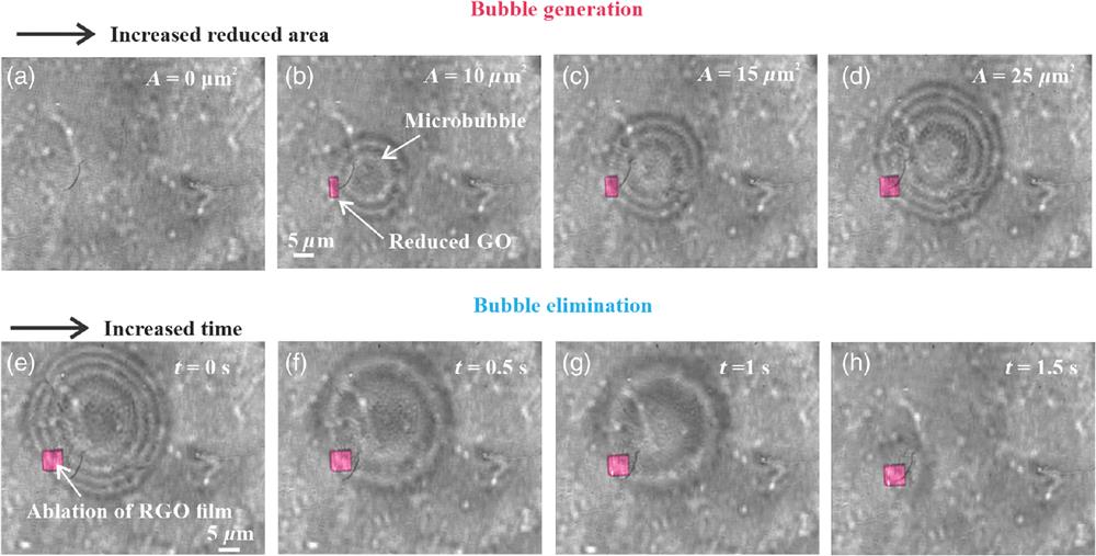 In situ optical microscopic images showing the process of the microbubble generation and elimination. (a) GO sample before photoreduction and (b)–(d) generated microbubbles corresponding to different reduced areas (Video S1). (e)–(h) Elimination of microbubbles by ablating the reduced area and measured at different times (Video S2). The reduced area is highlighted by the pink color (Video S1, MP4, 1.12 MB [URL: https://doi.org/10.1117/1.AP.2.5.055001.1]; Video S2, MP4, 1.00 MB [URL: https://doi.org/10.1117/1.AP.2.5.055001.2]).