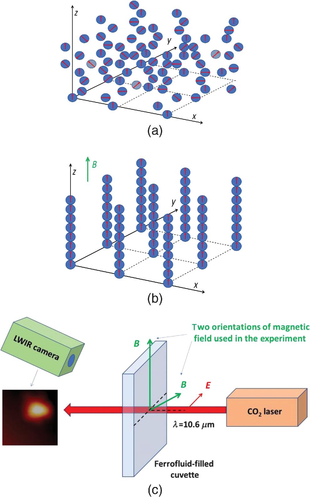 (a), (b) Schematics of the metamaterial system. (a) In the absence of an external magnetic field, cobalt nanoparticles are randomly distributed within the ferrofluid, and their magnetic moments (shown by red arrows) have no preferred spatial orientation; (b) application of an external magnetic field leads to formation of nanocolumns (made of nanoparticles), which are aligned along the field direction. (c) Schematic diagram of the experimental geometry. A long wavelength infrared (LWIR) camera (FLIR Systems, USA) is used to study CO2 laser beam propagation through the ferrofluid subjected to the external DC magnetic field. The inset shows the measured beam shape in the absence of the ferrofluid sample. Two orientations of the external magnetic field B used in our experiments are shown by green arrows. The red arrow shows laser light polarization. Note that the z axis is assumed to always point in the direction of the external DC magnetic field.