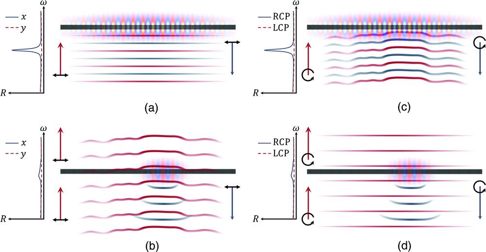 Spin, spectral, and spatial selectivity in Fano metasurfaces. (a) A conventional Fano resonant metasurface with spectral and angular selectivity supports a band-edge mode that is maximally Fano resonant for x polarized light at normal incidence. (b) When an arbitrary wavefront is incident on it, no distinct spectral feature can be found, and the wave is primarily transmitted with little distortion. In this case, the band-edge mode is not excited. (c) Proposed metasurface with spin, spectral, and spatial selectivity, yielding a band-edge mode maximally Fano resonant for RCP light with a specifically tailored wavefront. (d) When an arbitrary plane wave is incident, no distinct spectral feature can be observed, and light is primarily transmitted with little distortion.