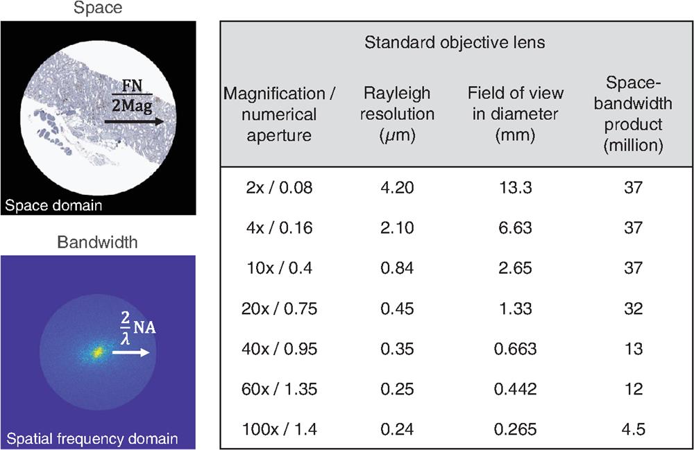 The diffraction-limited SBP of standard microscope objective lenses at a 550 nm wavelength under incoherent illumination. The pathology slide image is modified from a public repository of image datasets (Image Data Resource).52" target="_self" style="display: inline;">52,53" target="_self" style="display: inline;">53