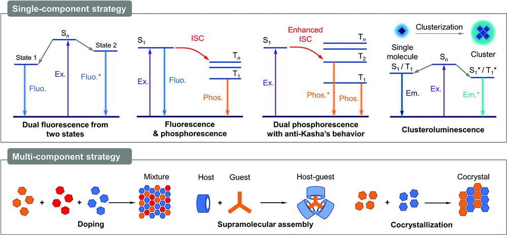 General scheme of single-component and multicomponent strategies to achieve white-light emission from organic aggregates. Ex., excitation; Fluo., fluorescence; Phos., phosphorescence;Em., emission; ISC, intersystem crossing.