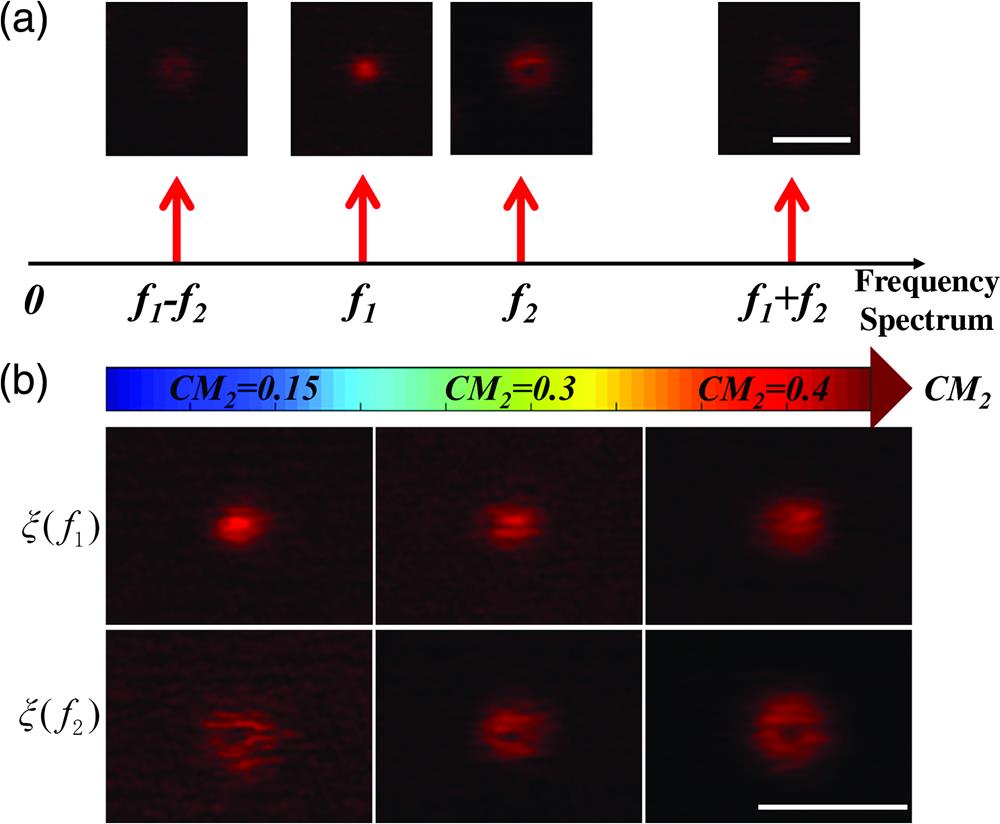Imaging analysis of fluorescence signals at different frequencies and the influence of CM2. (a) Fluorescence signals corresponding to four frequency components. Scale bar: 400 nm. (b) Variation of ξ(f1) images and ξ(f2) images against CM2, with values of 0.15, 0.3, and 0.4. Scale bar: 500 nm. The analysis is characterized by 40-nm fluorescent nanoparticles.