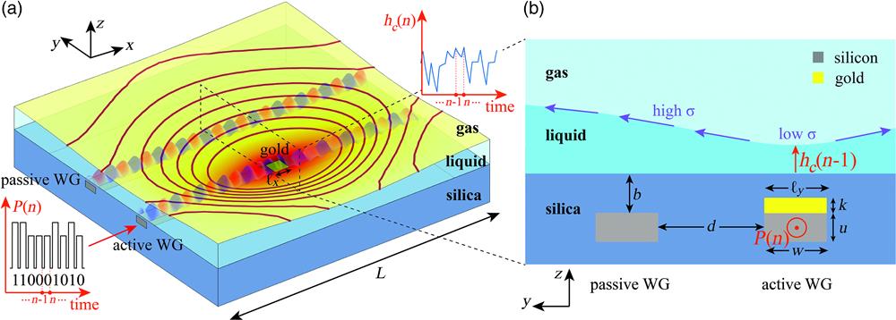 Schematic description of the key components in the integrated optofluidic system under study describing the underlying mechanism of the light–liquid interaction and the memory used for RC. (a) 3D perspective presenting a box-shaped liquid cell of length L=10 μm bracketed by vertical silicone walls, and an active Si channel WG on a silica substrate covered with a gold patch of dimensions ℓx×ℓy×k enabling light-induced heating and subsequent heat transport to the gas–liquid interface, which in turn triggers surface tension gradients, represented by blue arrows in (b), leading to the TC effect and liquid film thinning. The latter leads to a self-induced phase change and/or to transmittance change in the single WG setup and also to a nonlocal effect, where the phase in the adjacent passive WG is modified due to liquid deformation. Darker colors on the liquid’s surface in (a) correspond to higher temperature, whereas the dark red lines denote equal height levels. A sequence of high and low optical power pulses correspond to logic “0” and “1,” respectively. The finite relaxation time of the gas–liquid interface allows us to employ it as a short-term memory, where the (n−1)th pulse of power P(n−1) induces hc(n−1) liquid thickness affecting the subsequent nth pulse of power P(n). (b) 2D normal section, consisting of Si channel WGs of width w=500 nm and height u=220 nm buried in depth b=80 nm under silica top surface and hosting a gold patch of thickness k=20 nm and in-plane dimensions ℓx=ℓy=500 nm; the initial liquid depth is h0=500 nm.