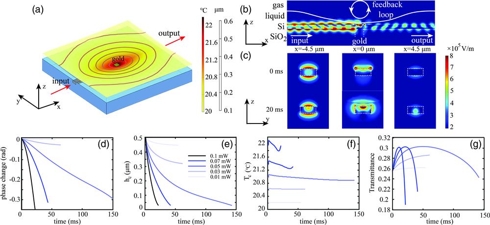 Numerical multiphysics simulation results presenting self-induced phase change in a single active WG covered with a thin liquid film. (a) Deformed gas–liquid interface under 0.1-mW CW light-induced TC effect at time t=20 ms (where t=0 s is the time moment when the optical mode began to propagate) and (b) graphic representation of the internal optical-generated feedback (circular arrow) due to deformation of the gas–liquid interface, allowing us to invoke transient dynamics serving as memory storing the previous optical pulse and using the dynamics to affect the deformed profile and the optical pulse at the next time moments at the same actuation region. The colormap describes electric field magnitude along the x–z plane at time moment t=20 ms; the gold patch resides on the top facet of the WG, and its dimensions along the x-axis are bracketed by the white dashed lines. (c) Electrical field magnitude along the normal section y–z at x=−4.5 μm, x=0 μm, and x=4.5 μm corresponding to left, central, and right columns, respectively, under 0.1 mW incident intensity; first and second rows correspond to mode profiles at initial time t=0 ms and t=20 ms, respectively. (d) The corresponding phase change as a function of different optical powers in the WG due to (e) liquid film thickness change, where hc is liquid thickness above the center of the gold patch. (f) The underlying change of the average temperature of the gold patch, Tc; (g) the corresponding transmittance as a function of time. Key parameters: initial temperature 20°C; wavelength of TM mode is 1550 nm; refractive index of liquid is 1.44 (same as silica substrate); geometric WG parameters are presented in Fig. 1.