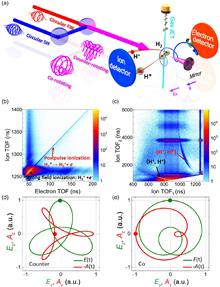 Rydberg state excitation in molecules manipulated by bicircular two-color laser pulses