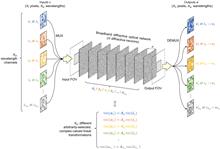 Massively parallel universal linear transformations using a wavelength-multiplexed diffractive optical network