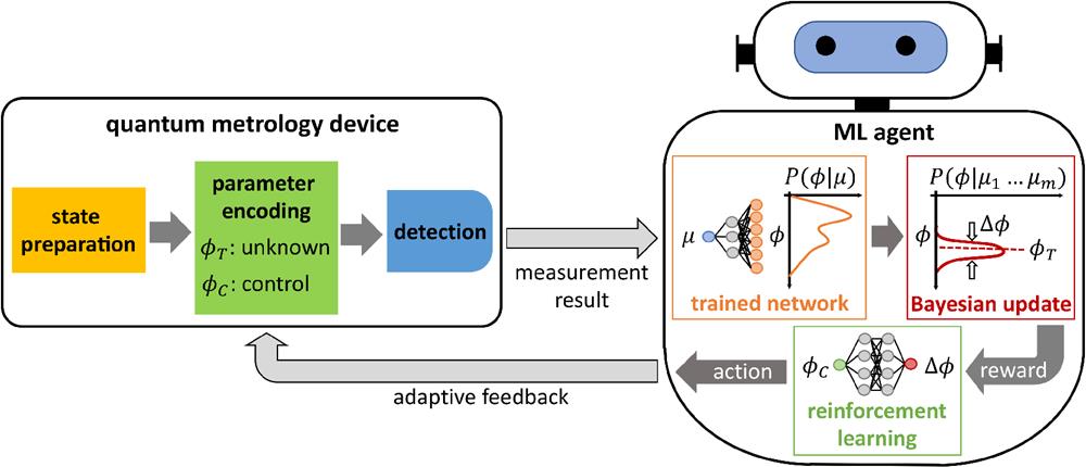 A general quantum metrology device consists of quantum state preparation, parameter-encoding evolution and measurement. Here, the device is equipped with an ML agent. The agent associates to each measurement result μ a Bayesian distribution P(ϕ|μ) obtained from a neural network trained with calibration data. When acquiring repeated measurement with results μ1,…μm, Bayesian distributions are multiplied, updating the prior knowledge about the unknown parameter ϕT. Finally, the agent chooses computes a phase ϕC for an adaptive feedback control of the device. Notice that ϕT and ϕC can be single- (as in the schematic here) or multivalued (as in the experiment of Cimini et al.17" target="_self" style="display: inline;">17).