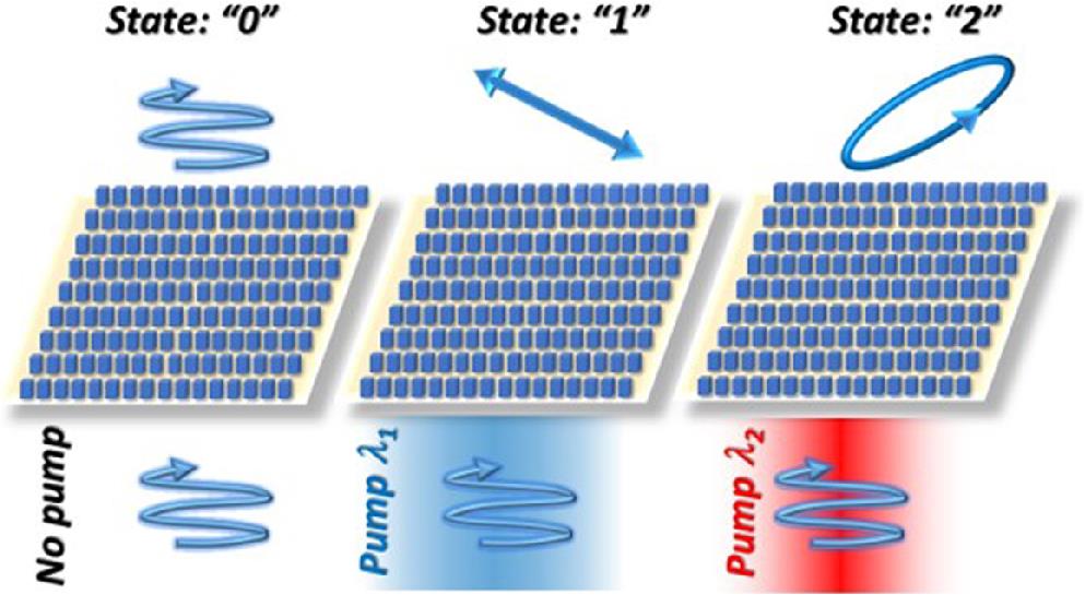Schematic of the silicon 3D pillar metasurface array for polarization modulation and different logic state encoding under different pump wavelengths.