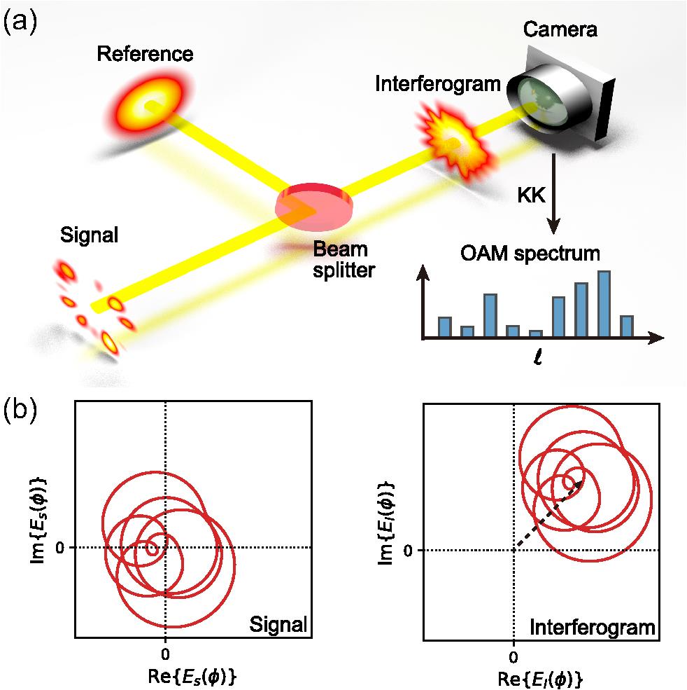 Conceptual setup and the requirement for the KK retrieval. (a) The signal field with a complex OAM spectrum is co-axially combined with a reference Gaussian beam. The intensity of their interferogram is recorded with a camera and is used for the spectrum retrieval. (b) The azimuthal trajectories of the signal (left) and the interferogram (right) in the complex plane. In order to meet the minimum phase condition, the trajectory must not encircle the origin. With the addition of a sufficiently large reference field (denoted by the dashed arrow), the interferogram satisfies the requirement, and thus the KK method can rigorously reconstruct the complex signal OAM spectrum.