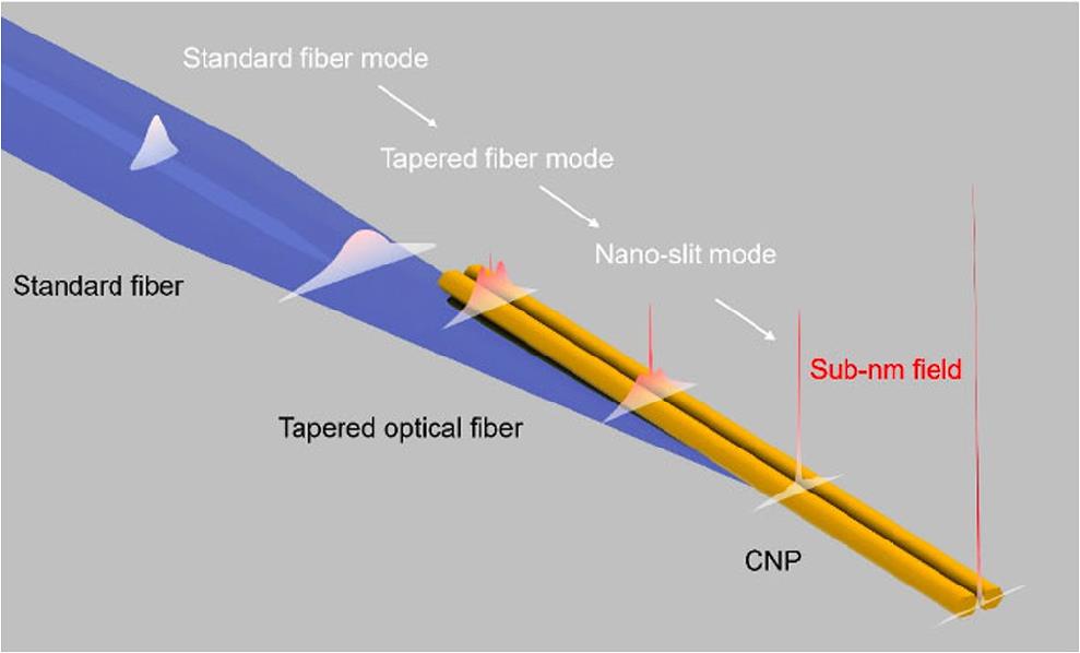 Schematic of coupling of light from a tapered optical fiber into a CNP waveguide in a distributive way along the length of the waveguide (reproduced from Ref. 6).