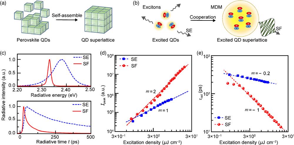 SF effect in perovskite QD superlattice. (a) Sketch of a superlattice sample assembled by CsPbBr3 QDs. The size of the individual cubic QDs is ∼10 nm, and the size of the assembled superlattices is distributed from submicrometers to micrometers. (b) Physical pictures of the excited states and the different radiation effects in corresponding samples. An exciton is shown as a pair of “±,” and the MDM is a collective state of a dipole ensemble with an MDM and a synchronous radiation phase. The yellow halo around the “±” pair presents the virtual light field. Dense excitons in a QD superlattice share the virtual light fields and from MDM. Black curved arrows describe the substantial radiation fields, i.e., the SE from individual excitons and the SF from cooperative excitons. (c) Time-integrated and time-resolved spectra. The SE signals from individual QDs and the SF signals from an assembled superlattice are measured under excitation densities of 6.1 and 5.8 μJ cm−2 per pulse, respectively. (d), (e) Excitation density ρ versus the time-resolved peak intensity Ipeak and the radiation decay time τrad. The dashed lines are guidelines for the trends y∝xm. Ipeak and τrad are obtained by fitting the time-resolved spectra under different excitation densities.